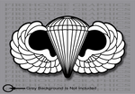 Airborne Division Parachutist Jump Silver Wings Army Air Force Marine Corps Navy