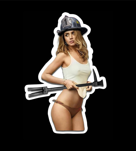 Buy 3 save 33% (mix and match) Ana came to do work (two decals 3")  Sticker